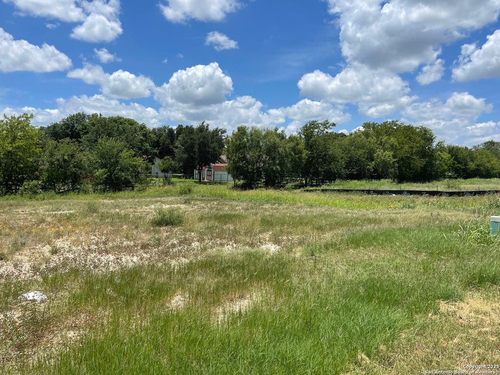Photo of 202 Allen Ave, Castroville, TX 78009 (MLS # 1878776)