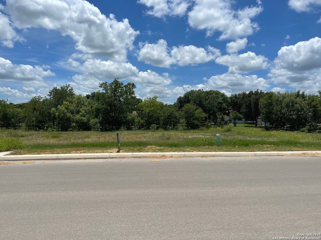 Photo of 202 Allen Ave, Castroville, TX 78009 (MLS # 1878776)