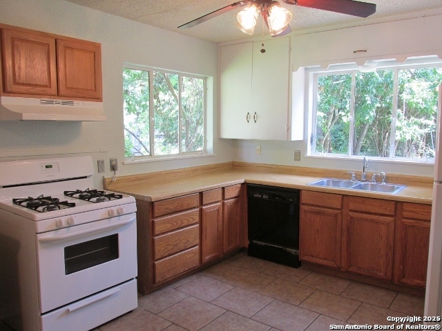213 Arvin