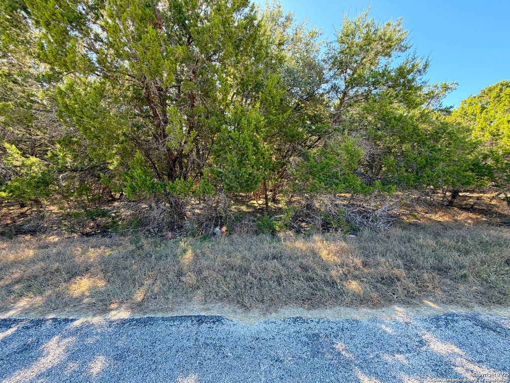 Photo of 426 Clay Ridge, Canyon Lake, TX 78133 (MLS # 1919657)