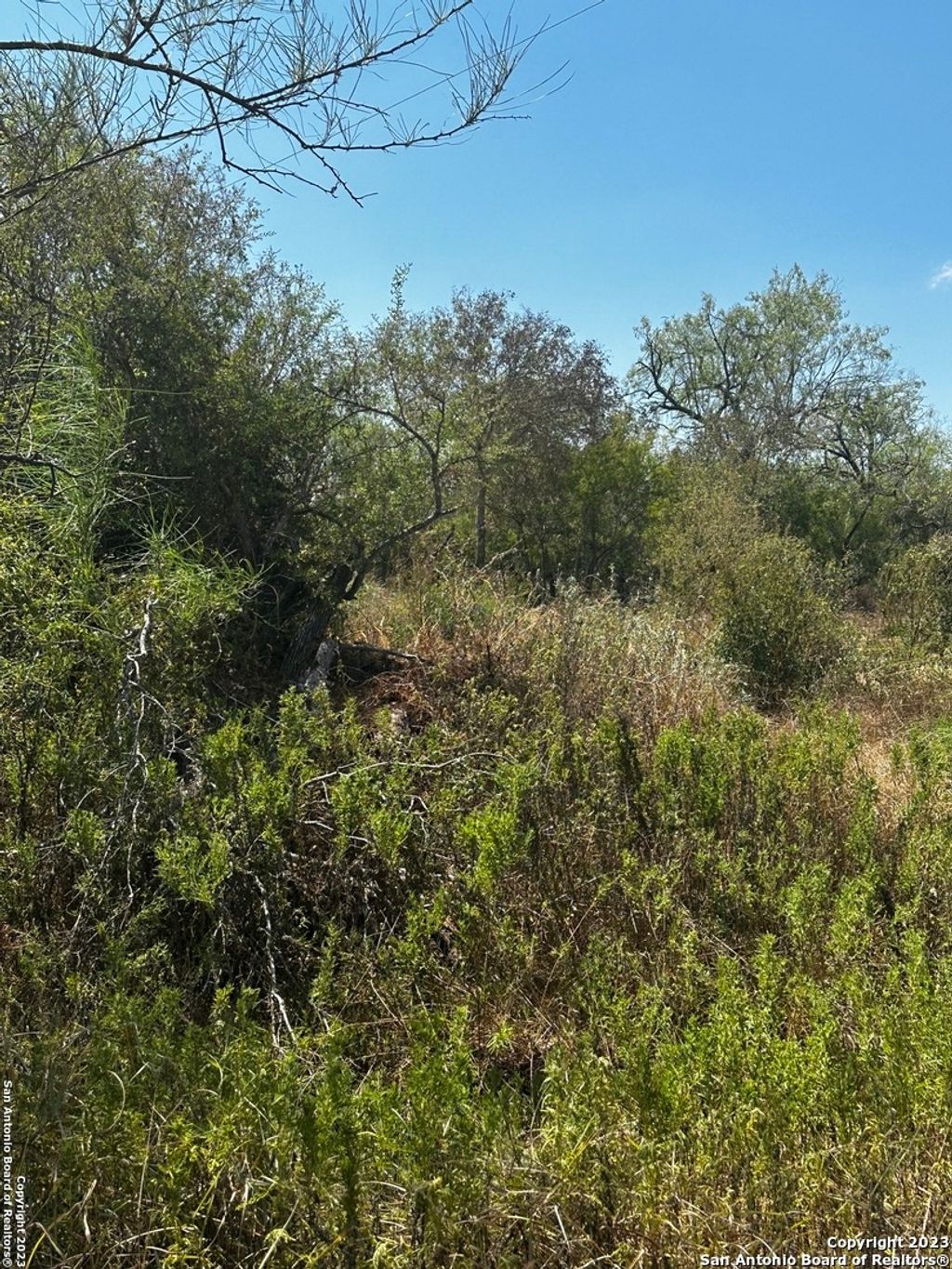 Photo of 5958 Cr 405, Floresville, TX 78114 (MLS # 1716859)