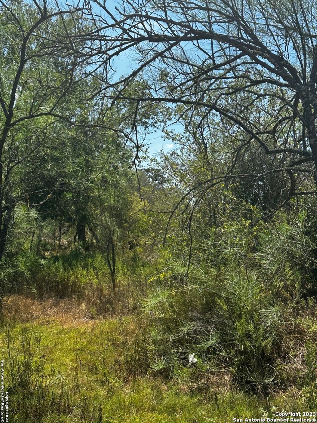 Photo of 5958 Cr 405, Floresville, TX 78114 (MLS # 1716859)