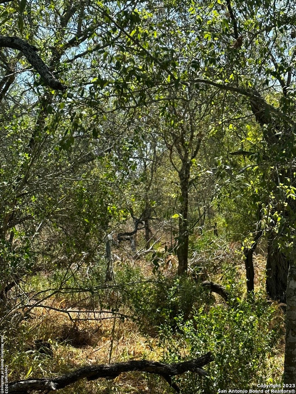 Photo of 5958 Cr 405, Floresville, TX 78114 (MLS # 1716859)