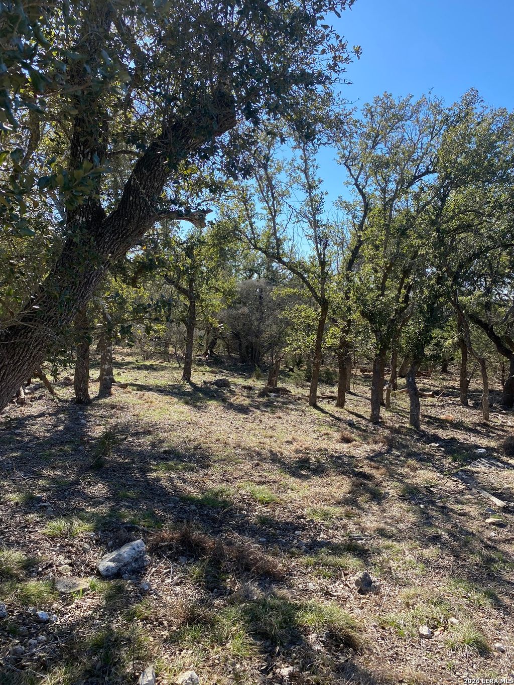 Photo of 106 Ulmus, Fredericksburg, TX 78624 (MLS # 1939625)