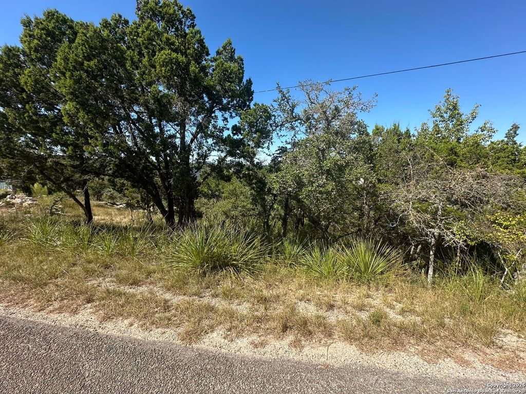 Photo of 605 Ledgeview, Canyon Lake, TX 78133 (MLS # 1913893)