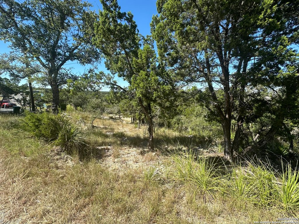 Photo of 605 Ledgeview, Canyon Lake, TX 78133 (MLS # 1913893)
