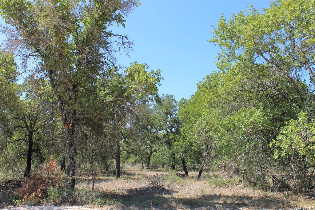 Photo of 11913 W Fm 476, Somerset, TX 78069 (MLS # 1935567)