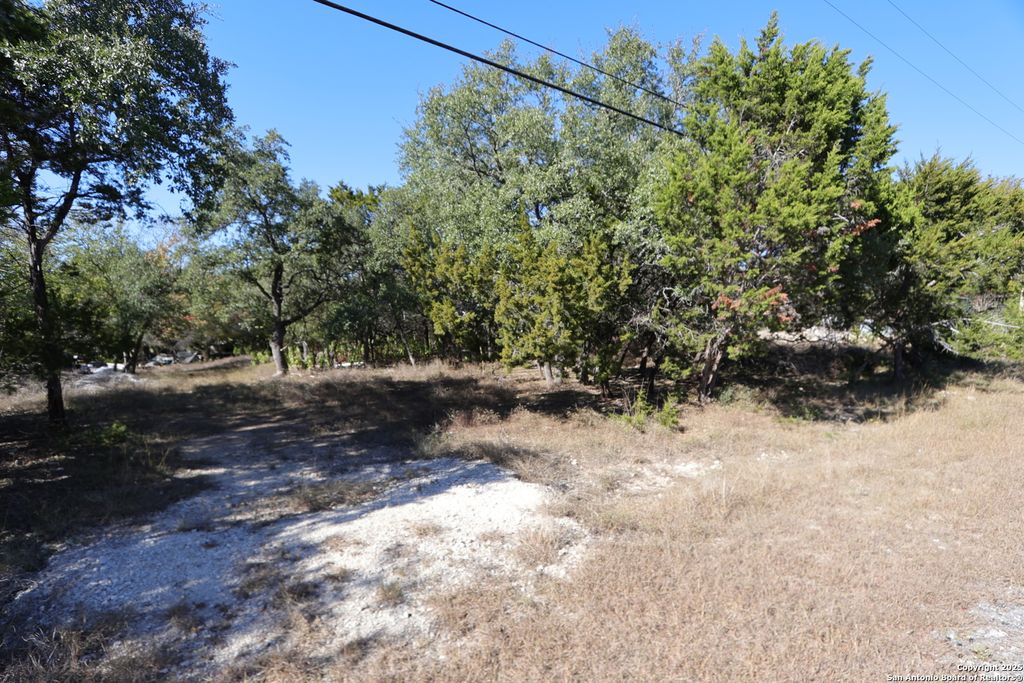 Photo of 1433 Chestnut Springs, Bulverde, TX 78163 (MLS # 1927482)