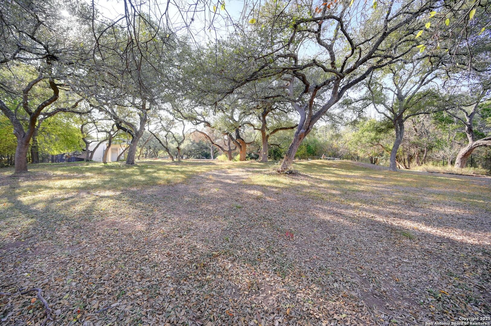 Search 14610 Cadillac