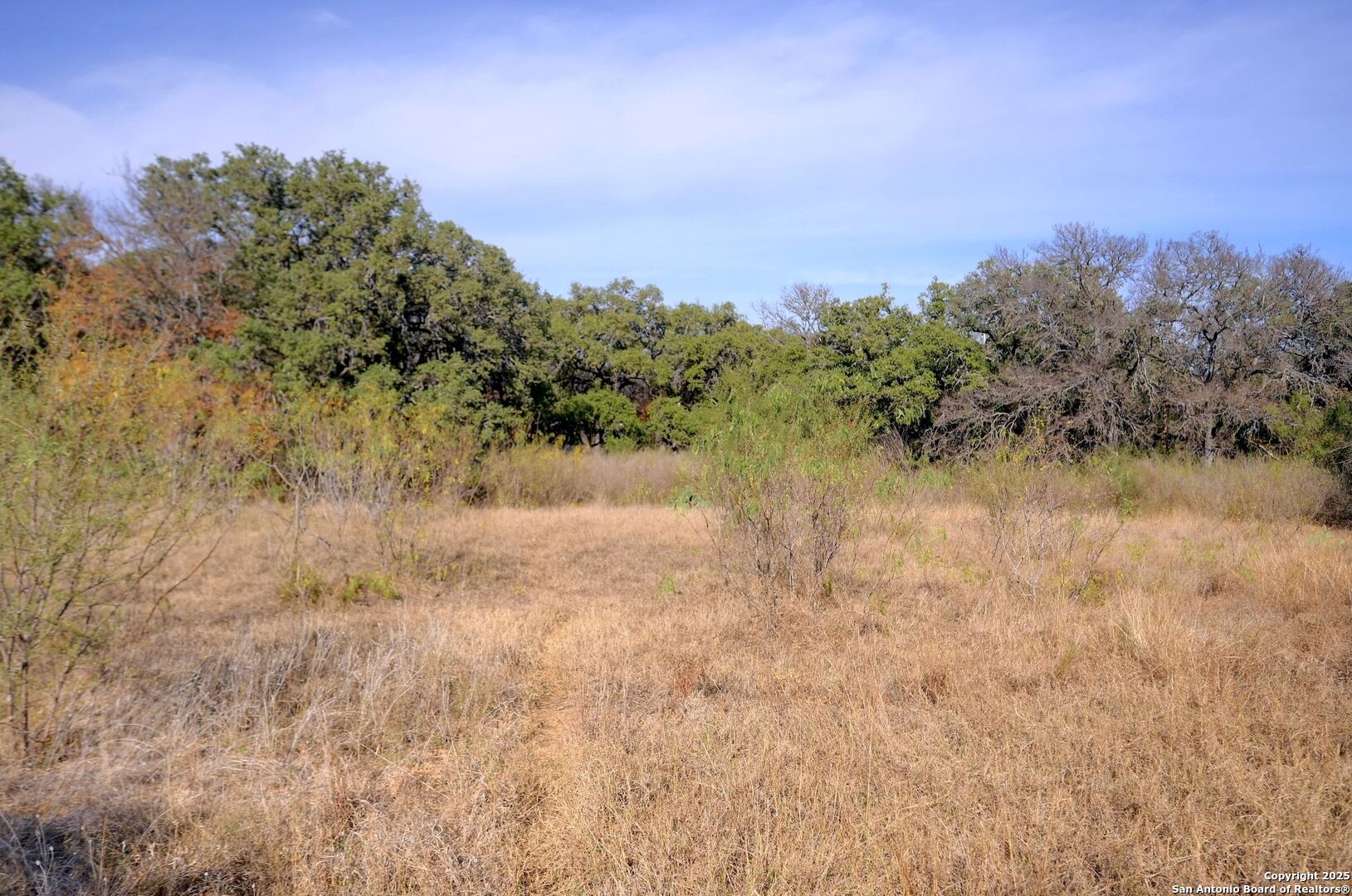 Search 14610 Cadillac