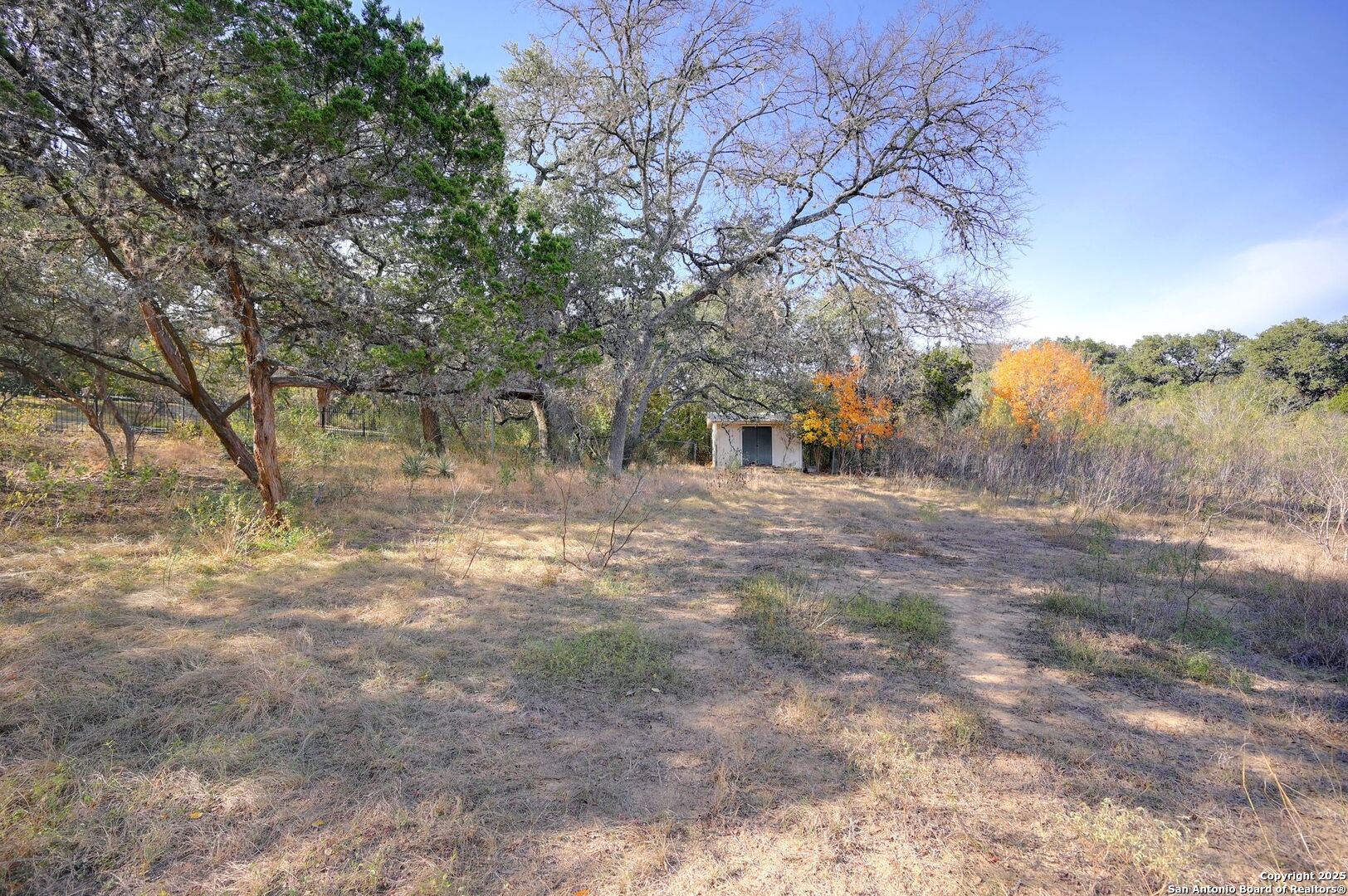 Search 14610 Cadillac