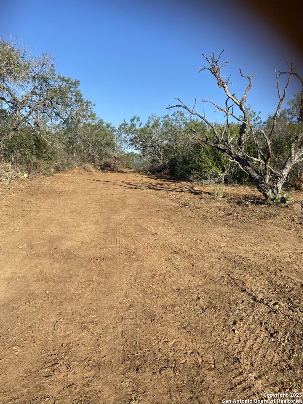 Photo of TBD CR 168, Floresville, TX 78114 (MLS # 1916919)