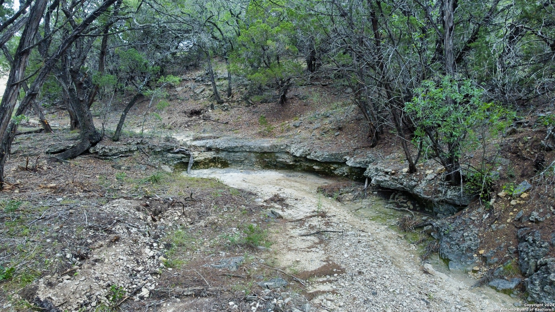 245 Sydney Springs