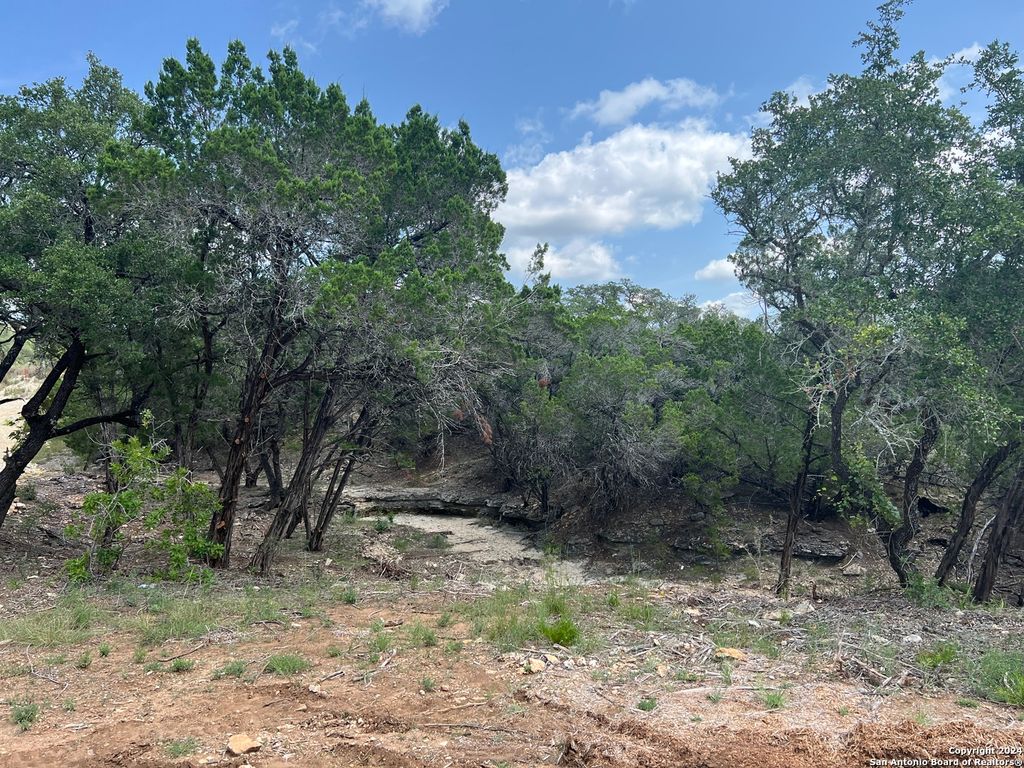Photo of 245 Sydney Springs, Helotes, TX 78023 (MLS # 1880283)