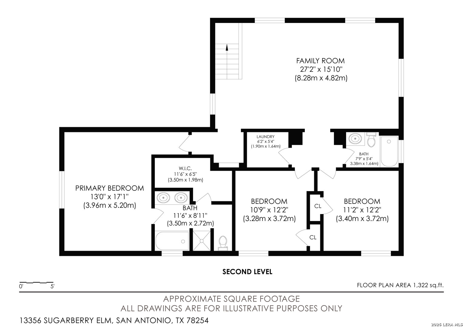13356 Sugarberry Elm