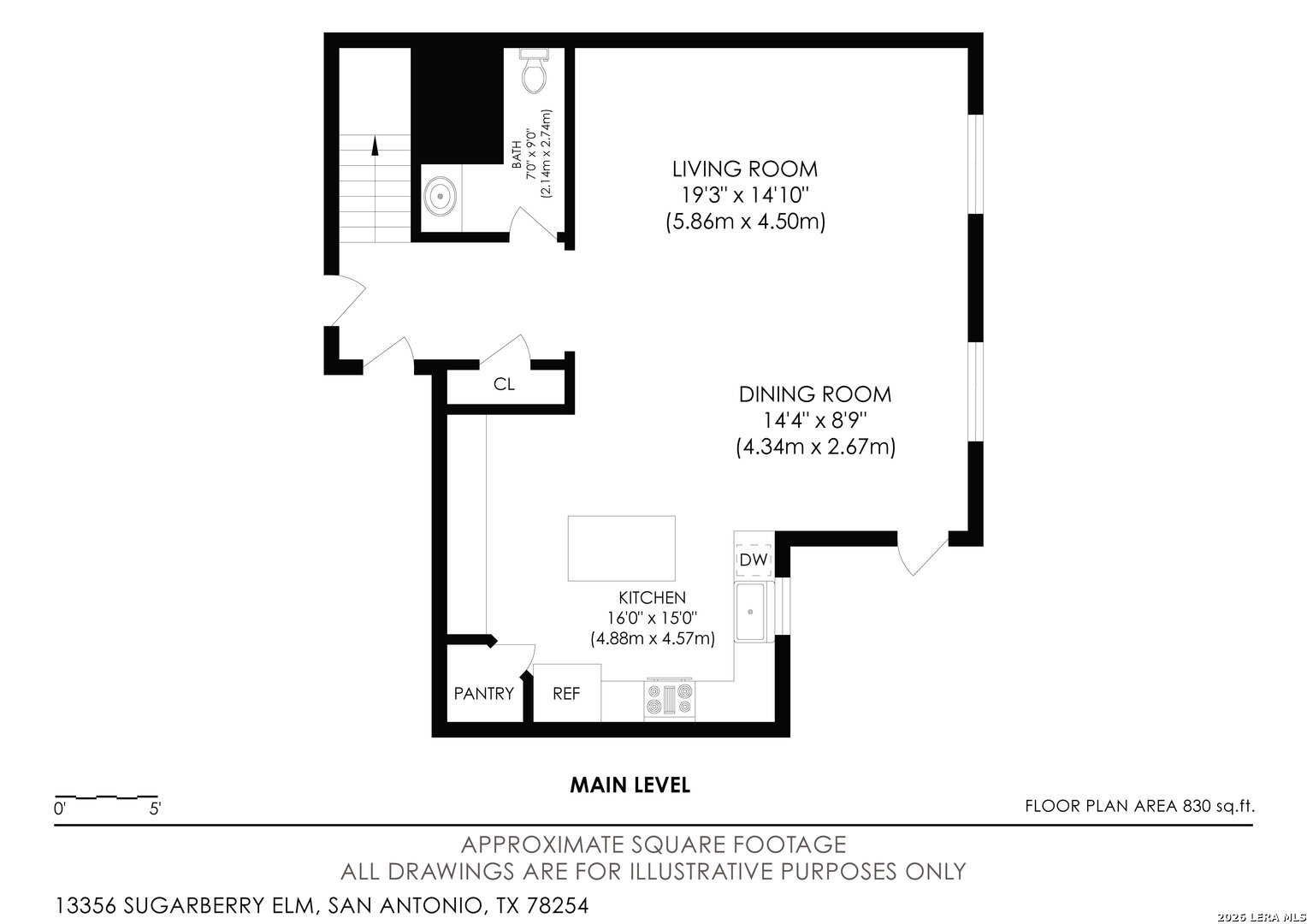 13356 Sugarberry Elm