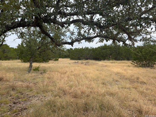 ADDRESS PRIVATE, BANDERA, TX 78003 - Image 9e13f9459d866f093f4e074b5c9868f5/1772208027