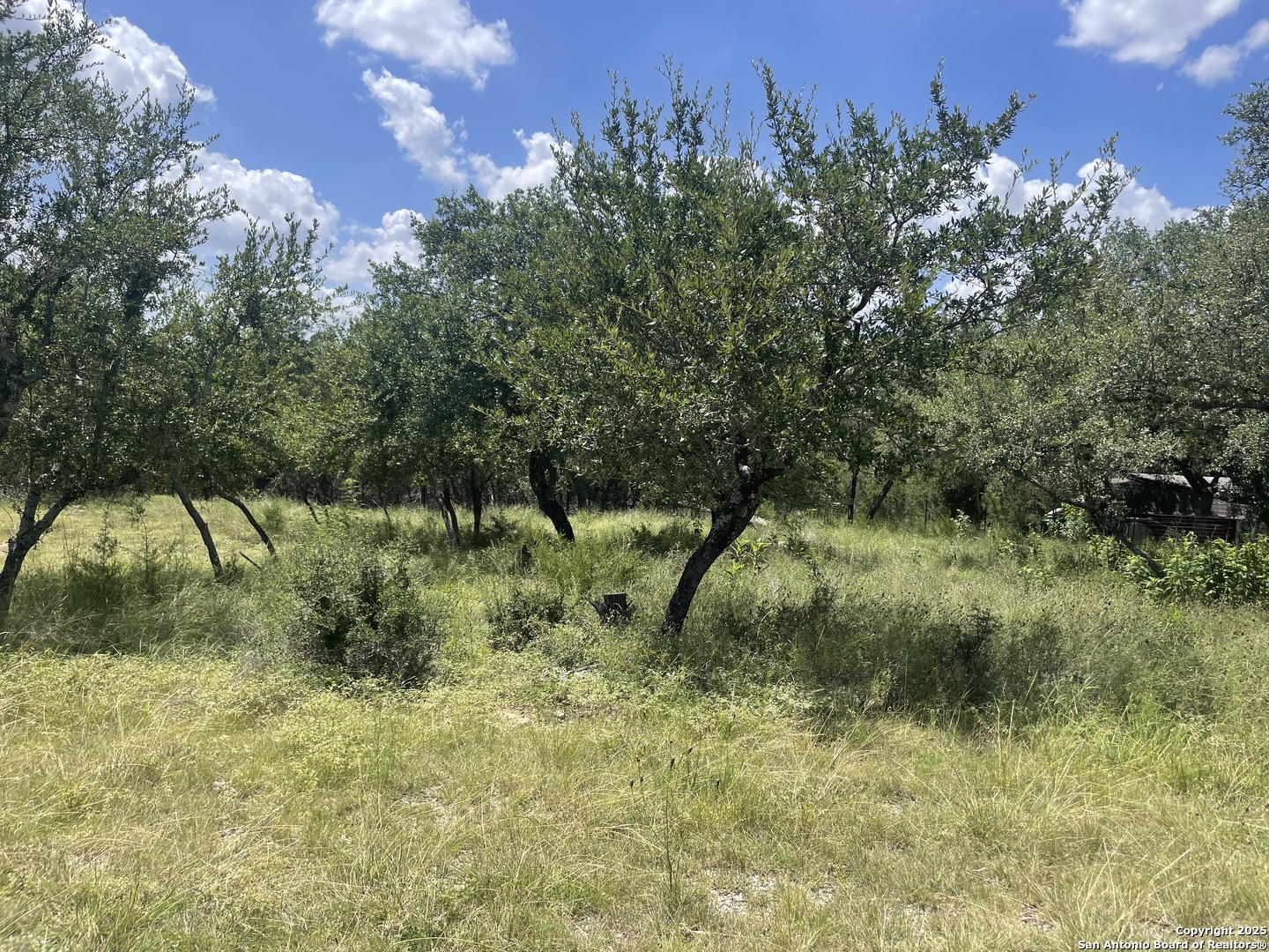 713 Mountain Creek Trail