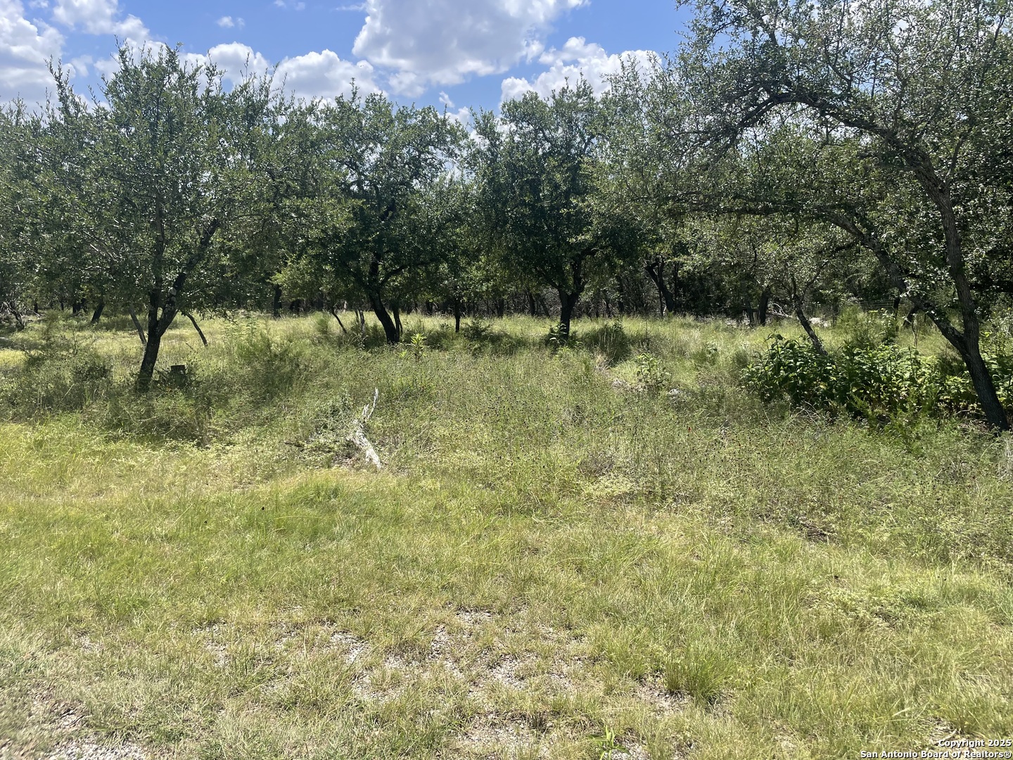 713 Mountain Creek Trail