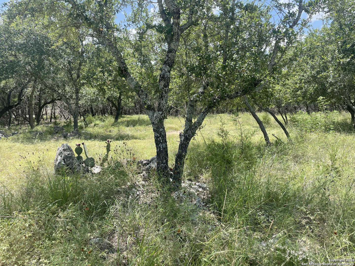 713 Mountain Creek Trail