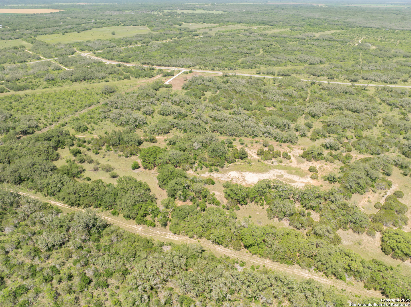 LOT 47 Antler Forest