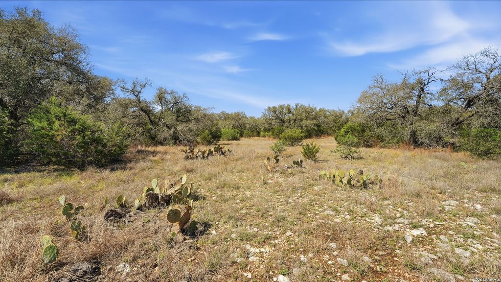 Photo of 2124 FRANCISCO PASS, Canyon Lake, TX 78133 (MLS # 1958250)