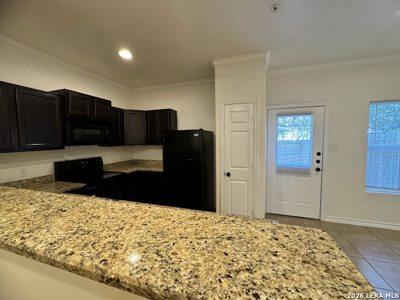 16808 Dancing Ava #2