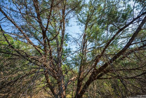 Tiny photo for 1121 Sleepy Hollow, Spring Branch, TX 78070 (MLS # 1908936)