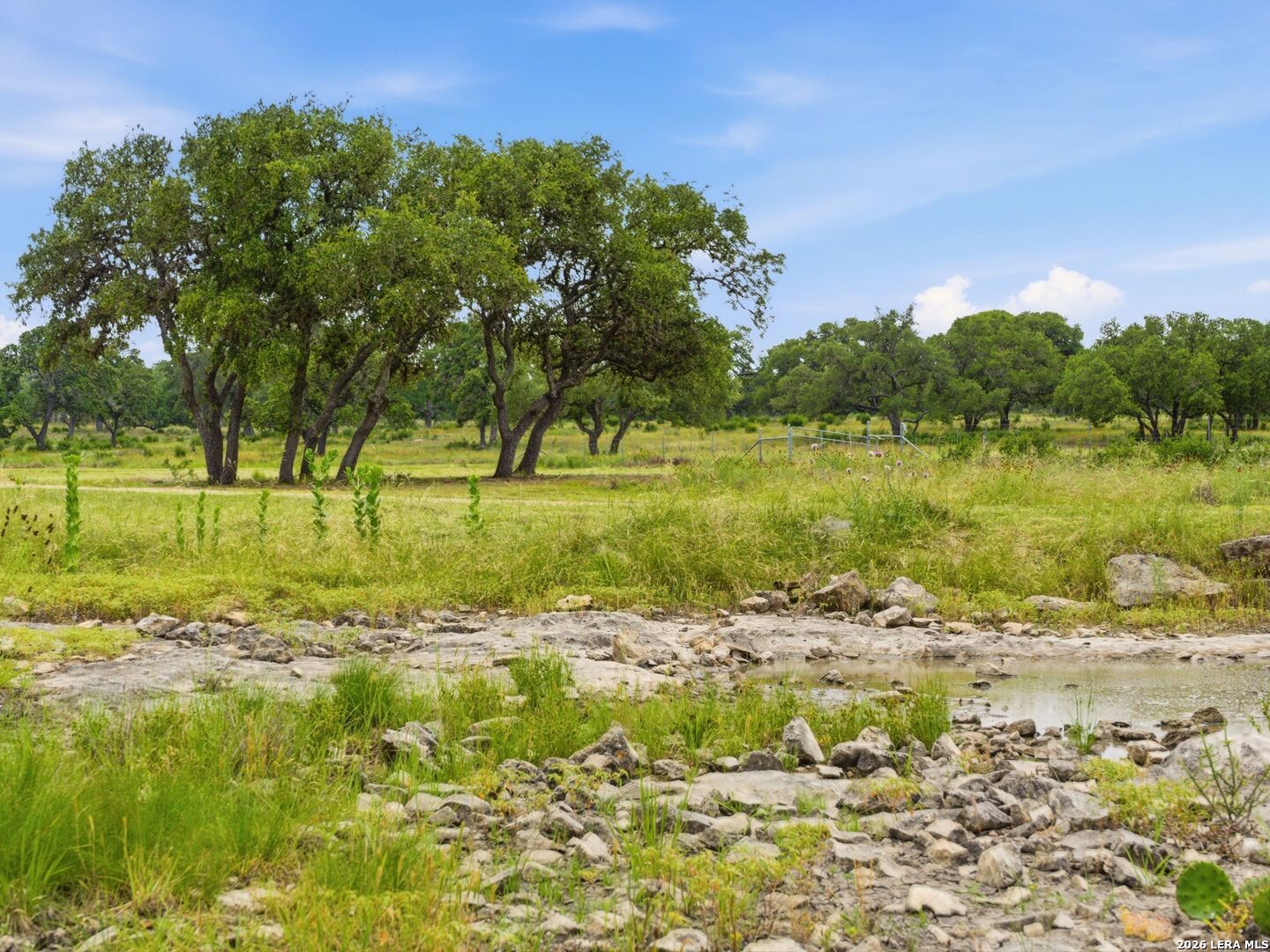 185 ACRES FM 3351 N