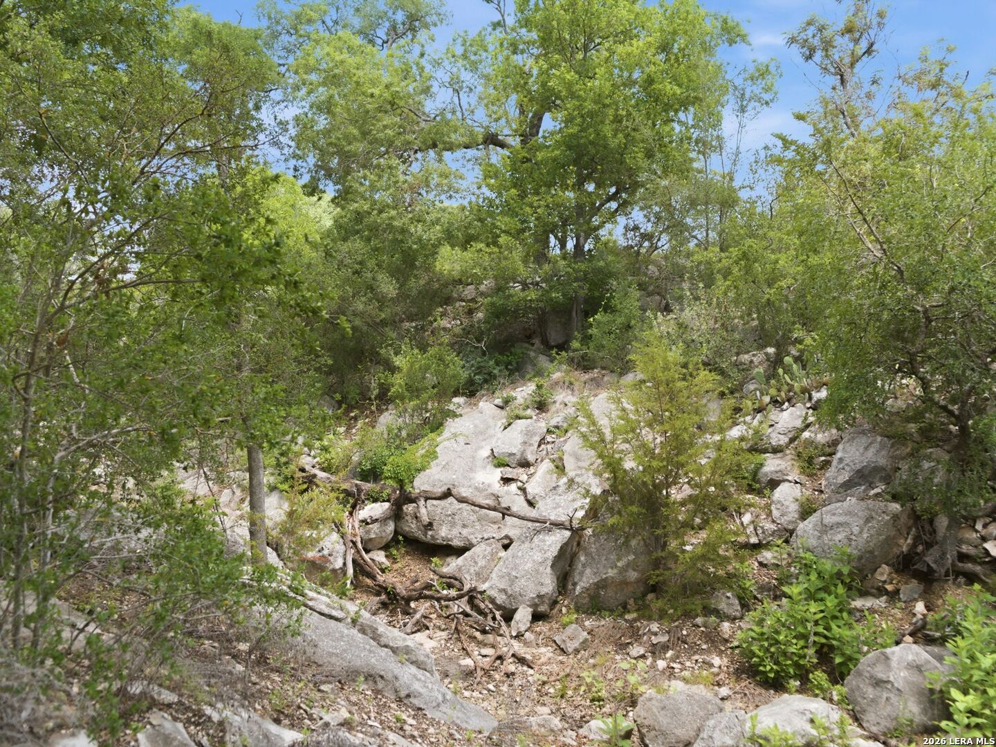 185 ACRES FM 3351 N