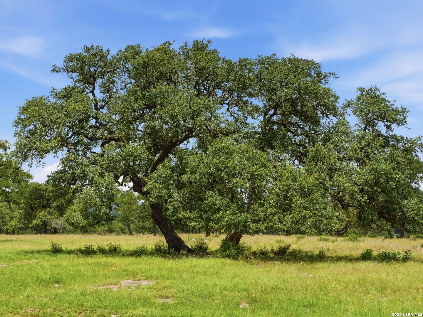 185 ACRES FM 3351 N