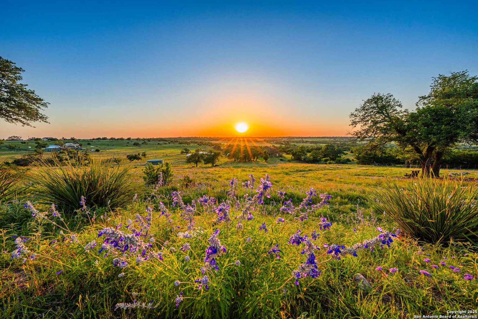 289 Scenic Outlook