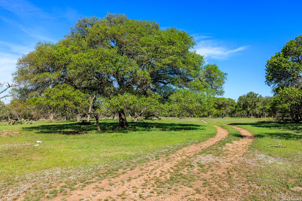 Photo of 257 Dally, Fredericksburg, TX 78624 (MLS # 1942275)