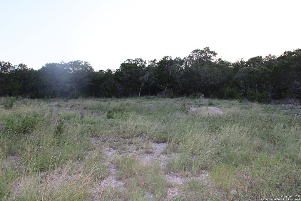 Photo of 2041 Fuller Dr., Canyon Lake, TX 78133 (MLS # 1878224)
