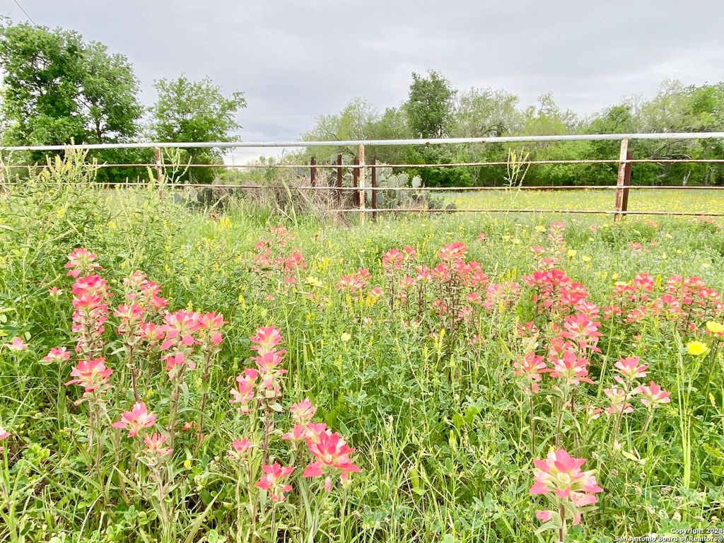 Photo of 210 SHAMROCK DR, Floresville, TX 78114 (MLS # 1762118)