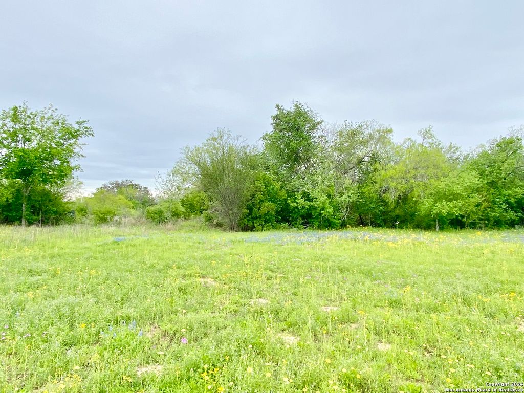 Photo of 210 SHAMROCK DR, Floresville, TX 78114 (MLS # 1762118)