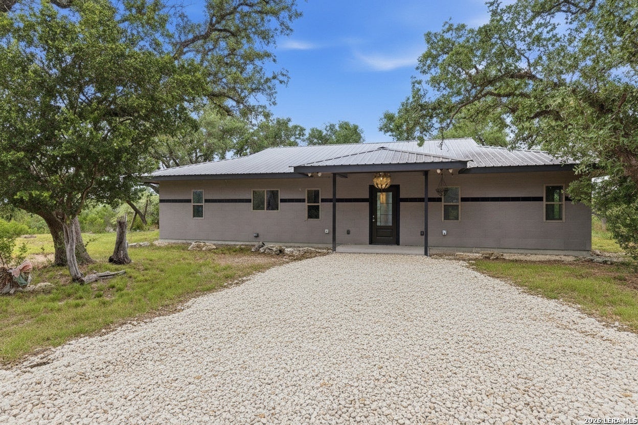 1263 Agaritaville