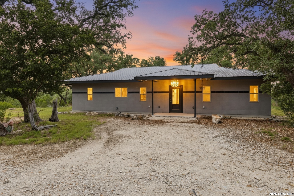 1263 Agaritaville