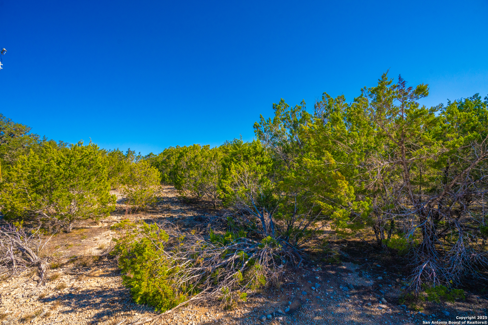 000 Little Dry Frio Rd Lot 1