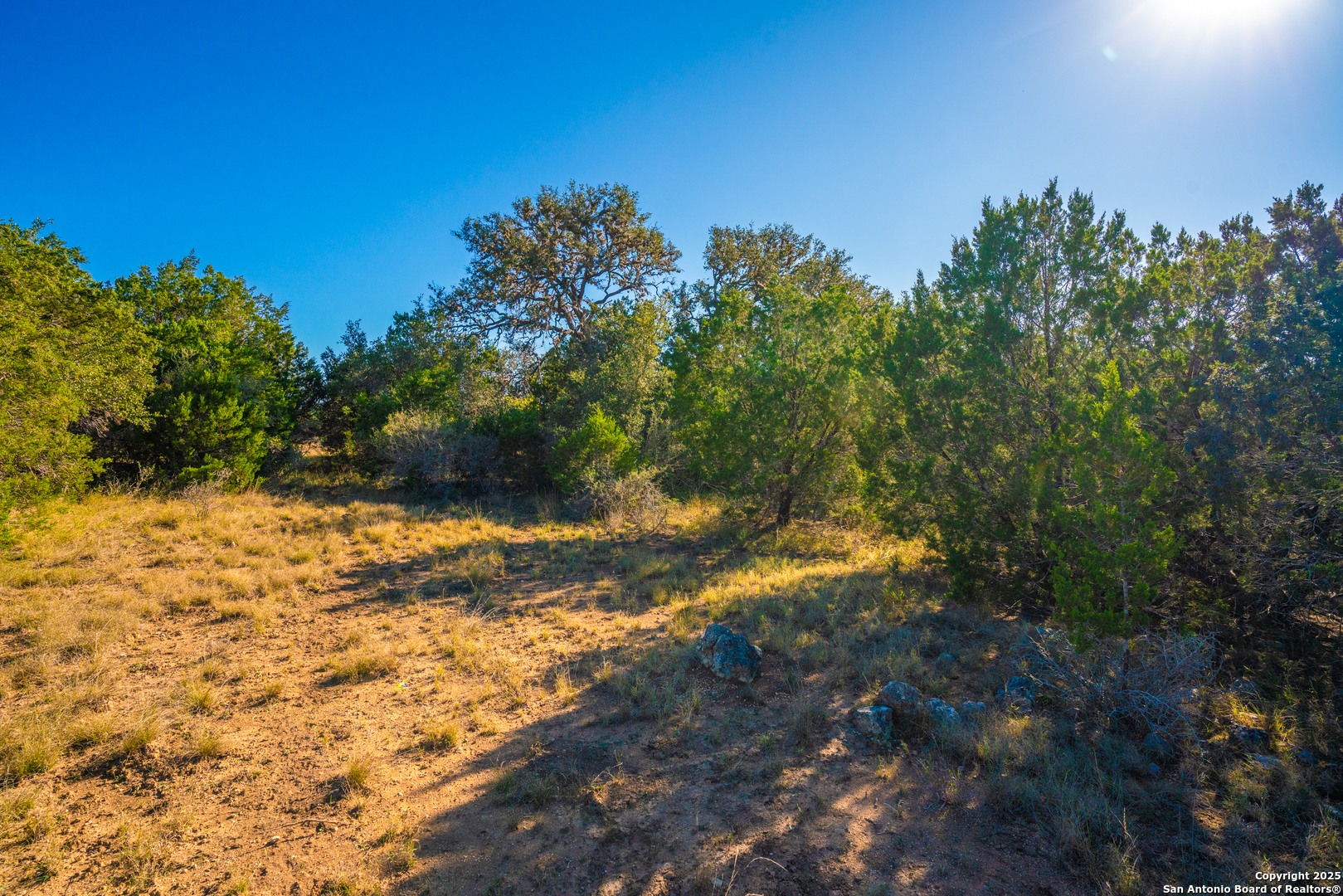 000 Little Dry Frio Rd Lot 1