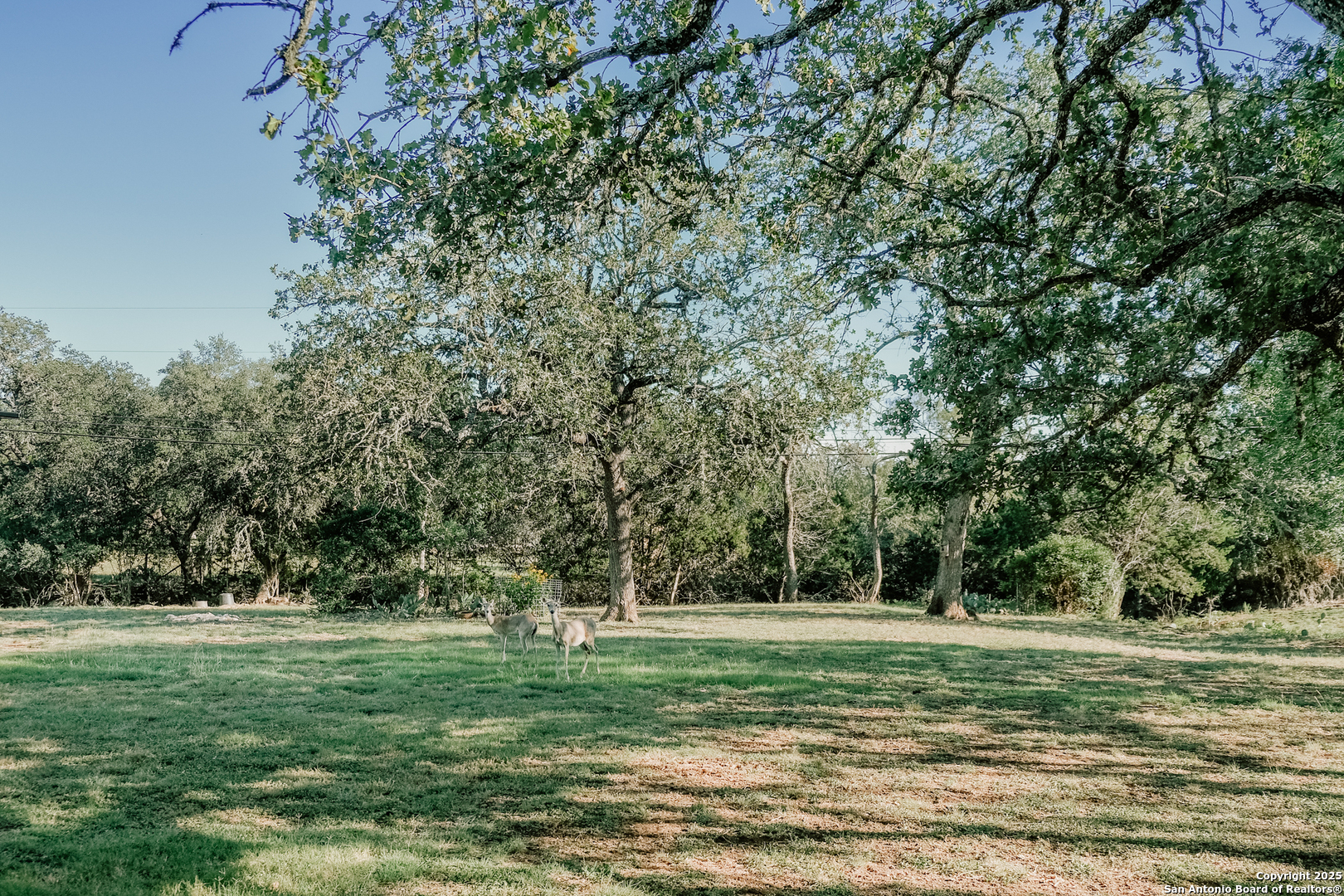 309 E Oak Wood Rd