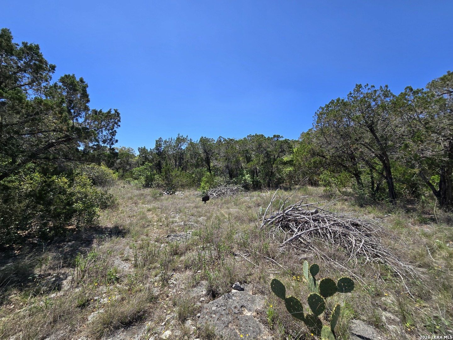 102 County Road 2732