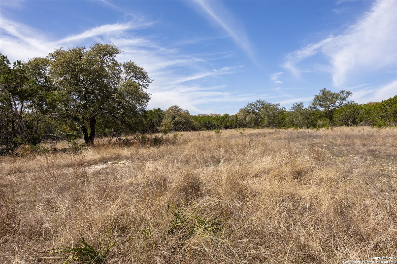 LOT 39 Vaquero Pass