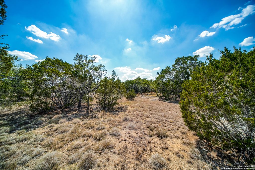 Photo of 972 Scarlett Ridge, Bulverde, TX 78163 (MLS # 1915510)