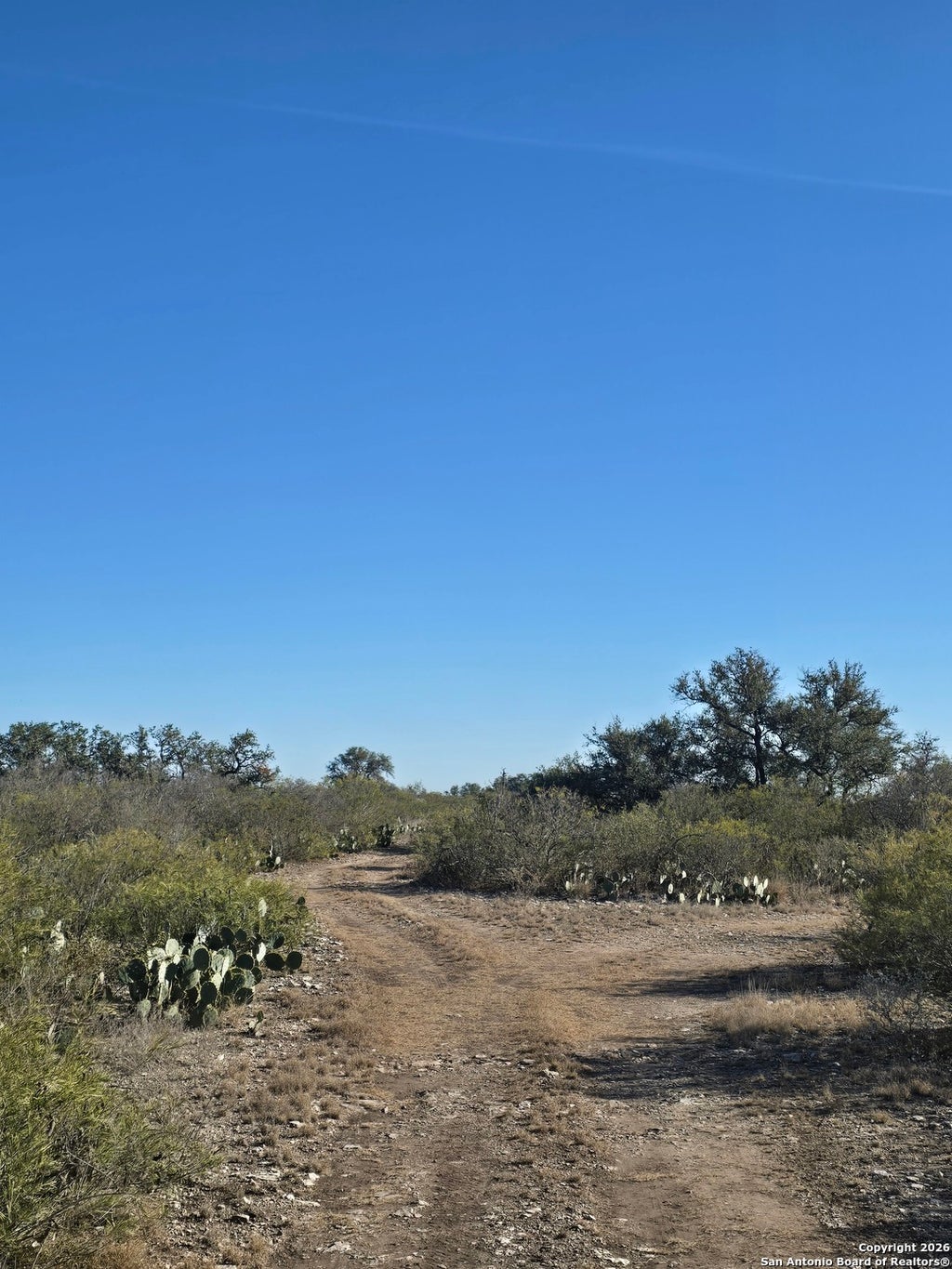 Photo of TBD CR 205, Uvalde, TX 78801 (MLS # 1931898)