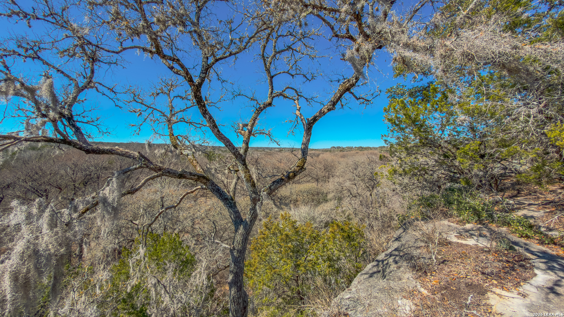 Search 1034 Blue Bonnet Hill