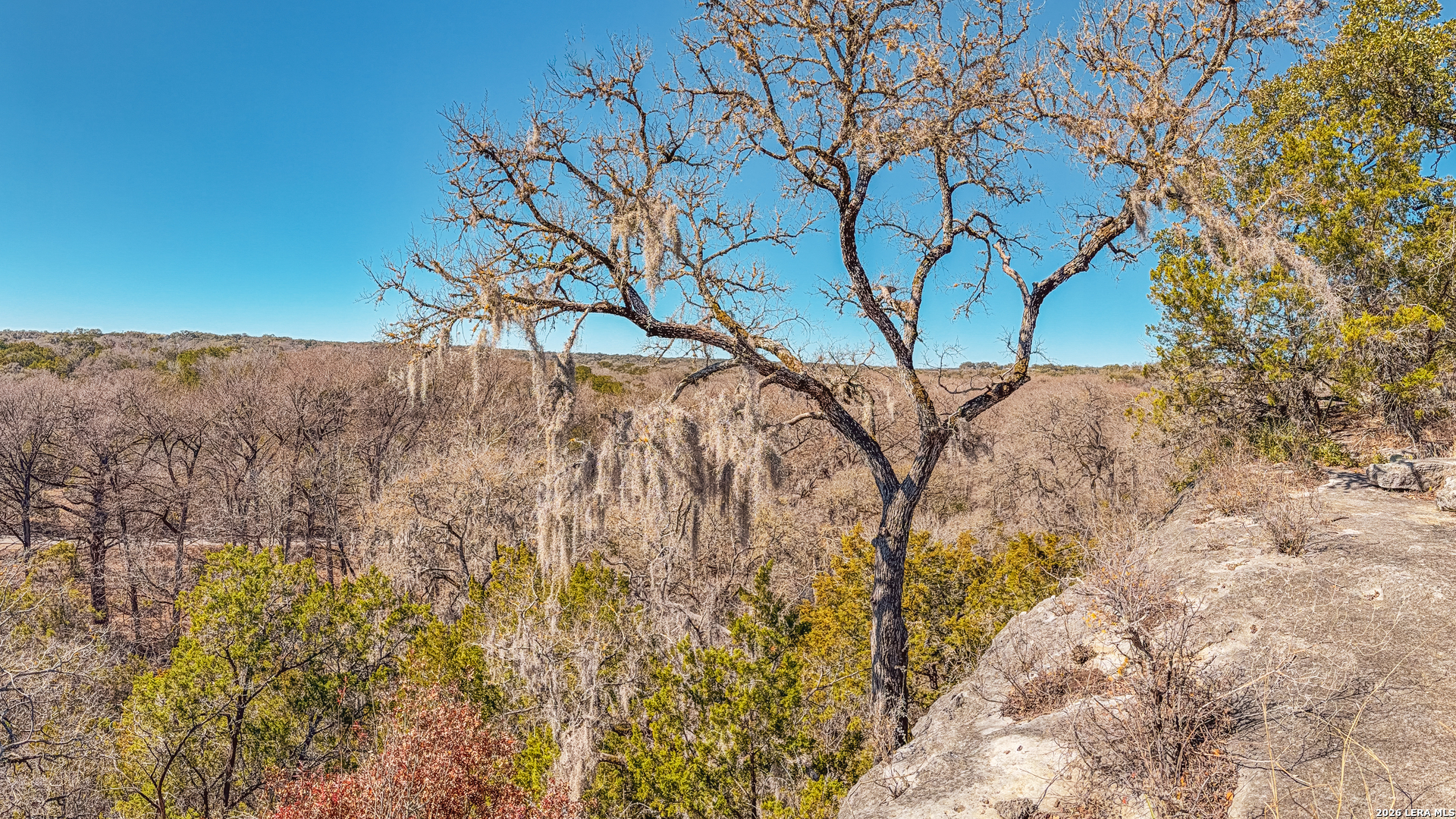 Search 1034 Blue Bonnet Hill
