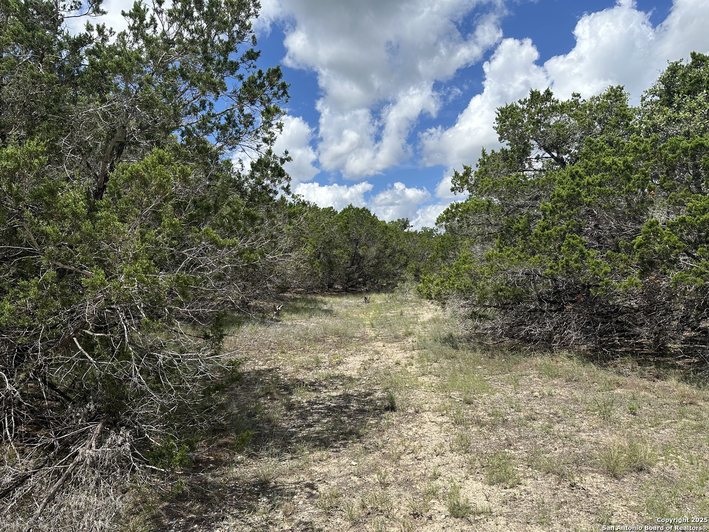 7131 Rebecca Creek