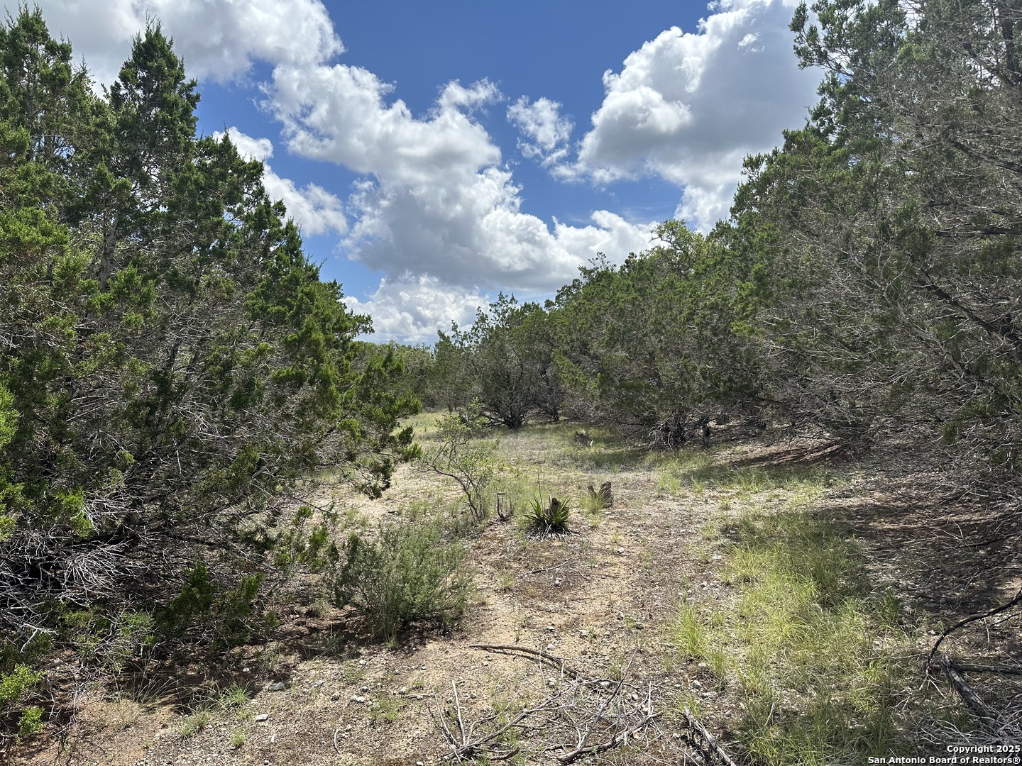 7131 Rebecca Creek