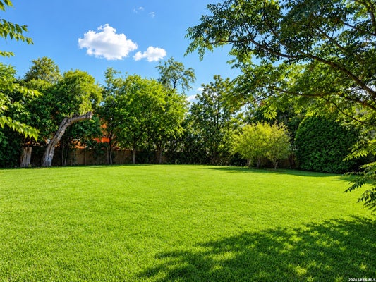 314 PINCKNEY ST, SAN ANTONIO, TX 78209 - Image a7ebdea05de676bd4ef13faa6d5c2a24/451735216